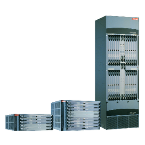 CIENA CORPORATION DN 2100